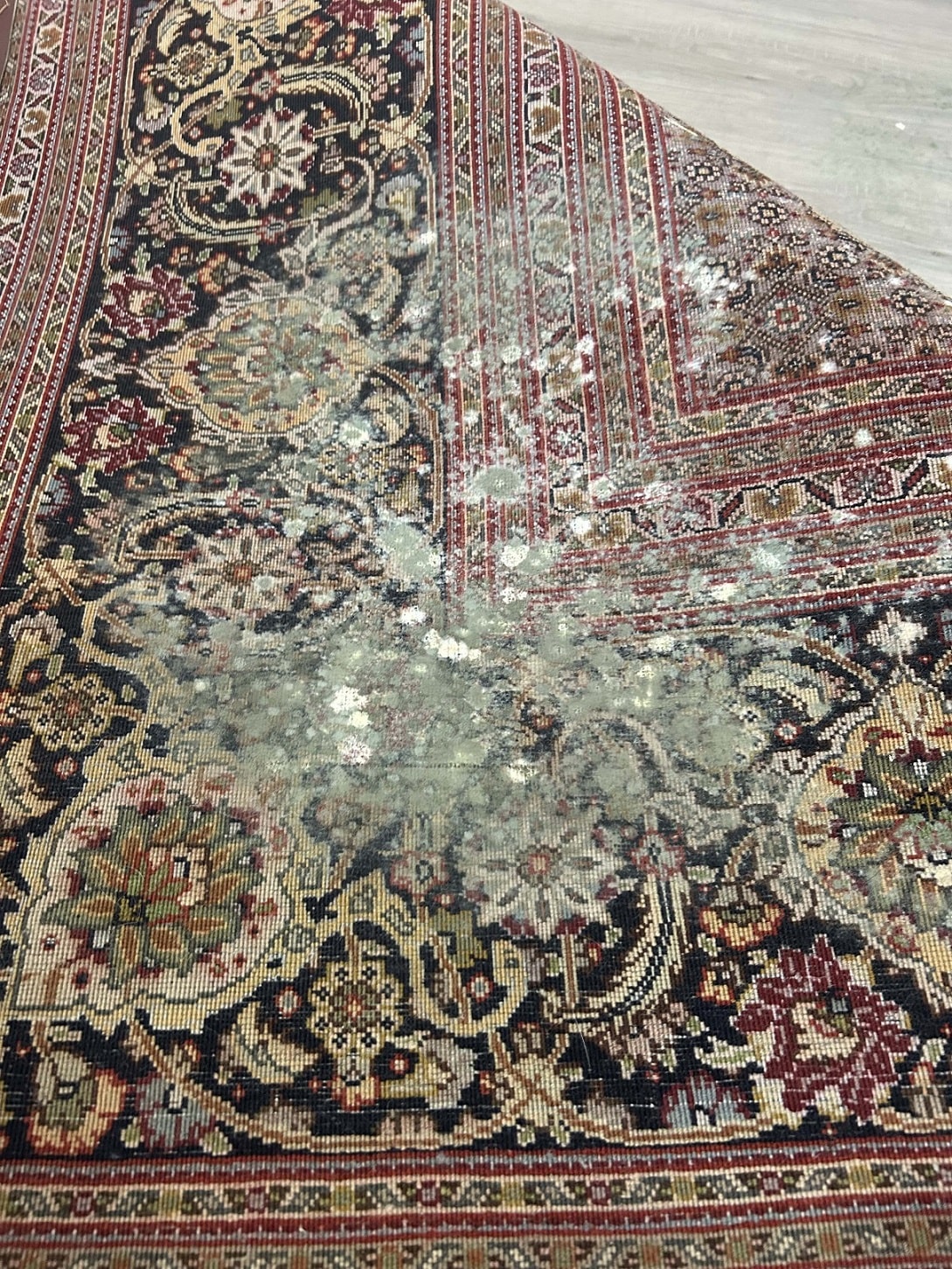  Mold & Mildew Prevention 