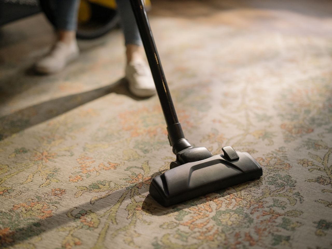 DIY Rug Cleaning vs Professional Cleaning