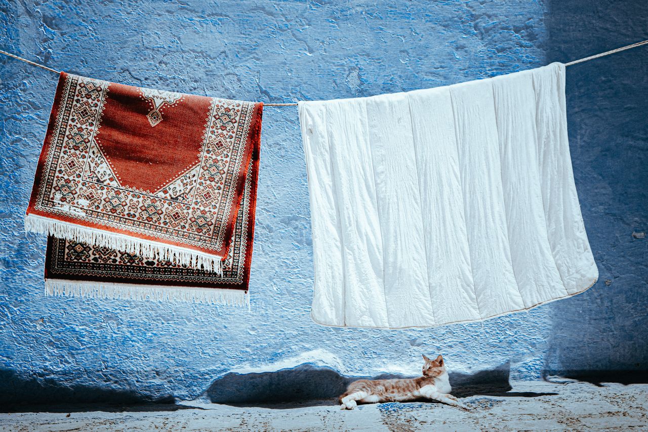  How Long Does Professional Rug Cleaning Take? 
