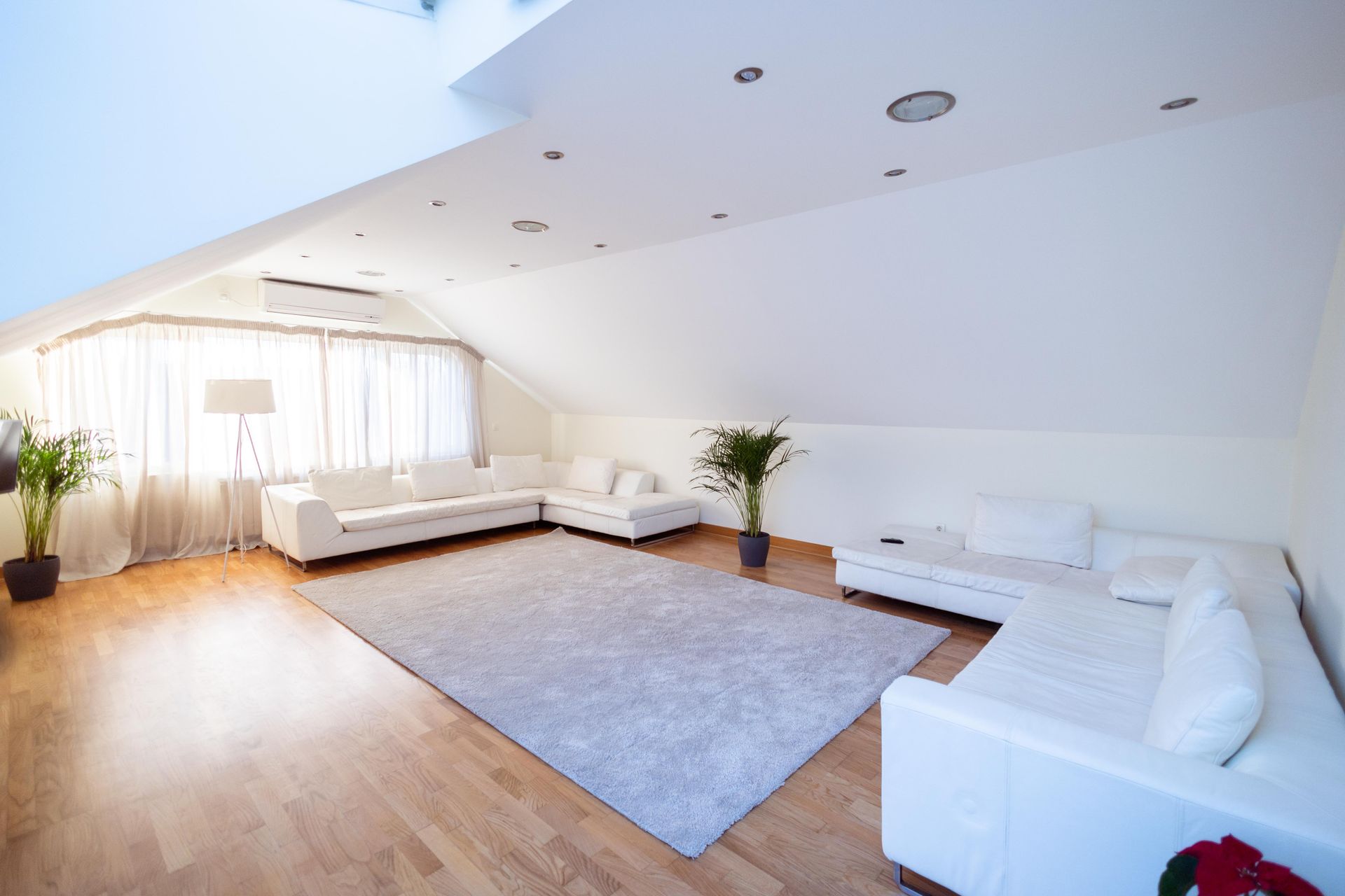  Professional Rug Cleaning vs Carpet Cleaning: What’s Different? 