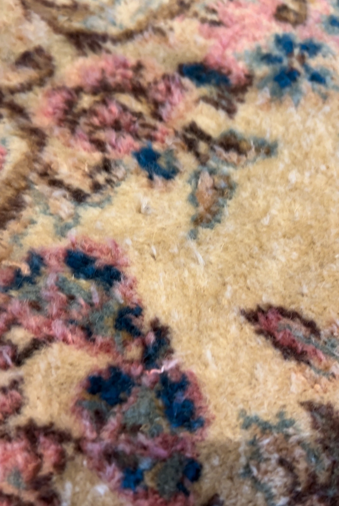  Rug Sprouting (Loose Fibers) 