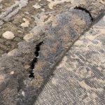 Tampa, Florida - Restoration - 135